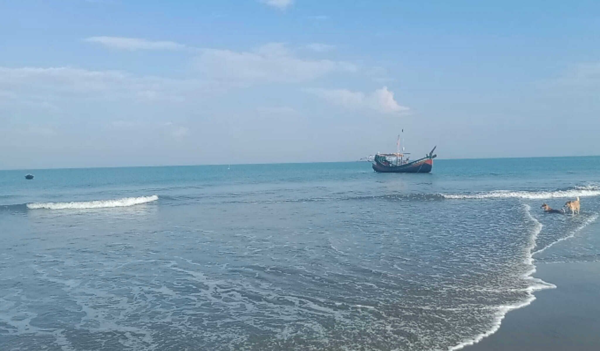 Een rustige zee met een boot en twee honden in de buurt van het strand.