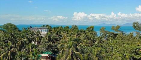 A resort with a pool area surrounded by palm trees and a view of the ocean.