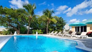 Une piscine rectangulaire à l’eau d’un bleu cristallin, entourée de chaises longues et de palmiers.