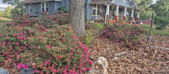 Charming 4-bedroom farmhouse on a horse farm.  It comes with central AC, WiFi