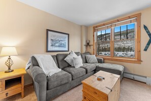 TV, fireplace, DVD player