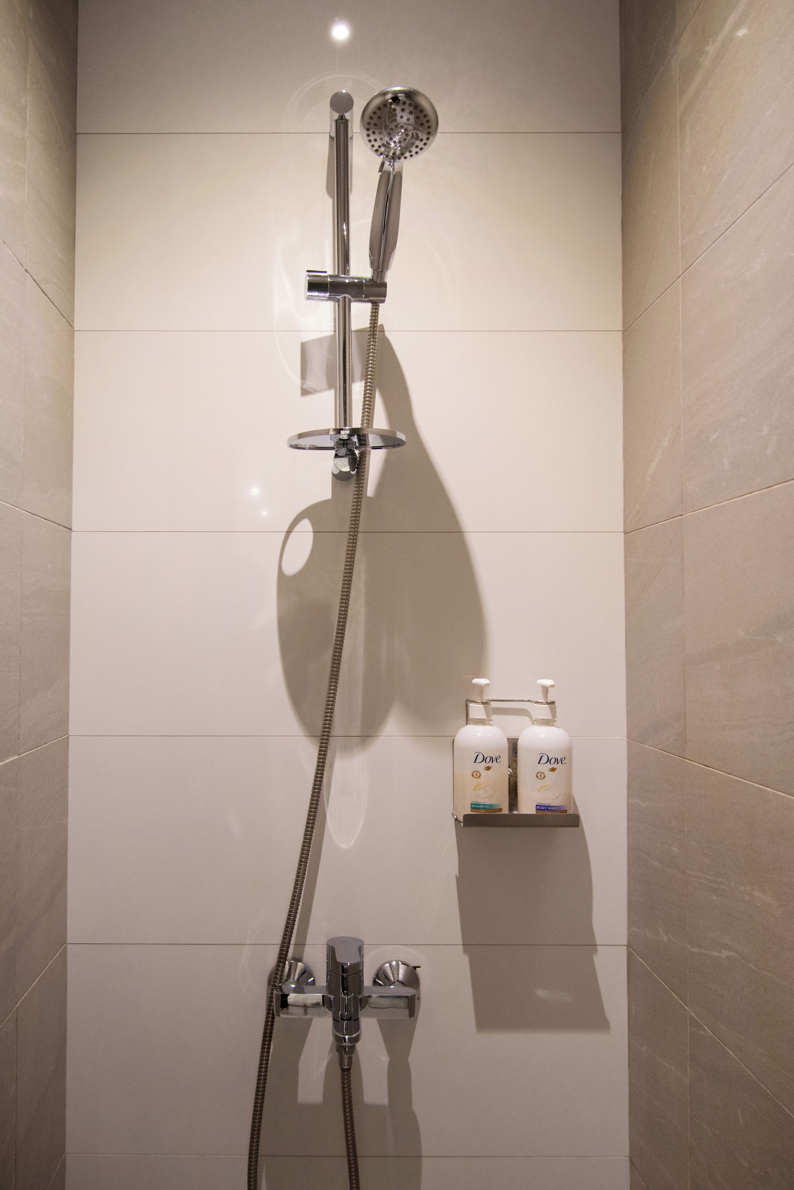 Dusche mit Handbrause und Wandarmatur, Handtuchhalter und zwei Dove Shampoo-Flaschen auf einem Regal.