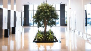 Eine geräumige, moderne Lobby mit einer zentralen Bepflanzung, eingelassener Beleuchtung und einem sauberen, spiegelnden Boden.