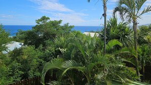 Un jardin luxuriant, parsemé de diverses plantes tropicales, et offrant une vue sur l’océan.