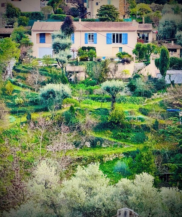 Property grounds - Maison Le Fleur: a haven of peace with swimming pool and garden in the hills above Nice (Falicon)