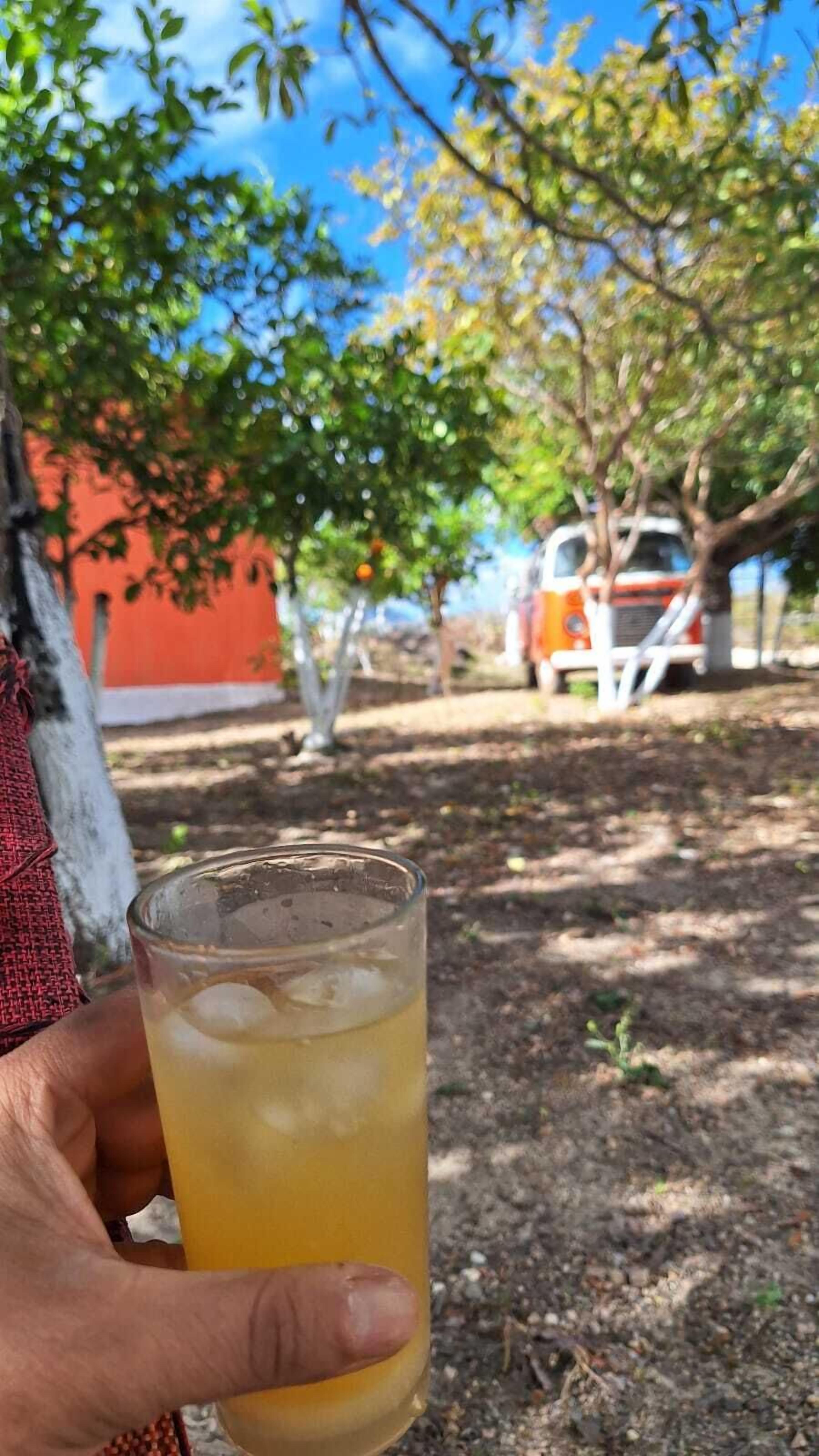 Vista da propriedade