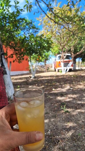 Vue depuis l’hébergement