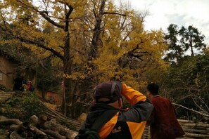 A group of people in an outdoor setting with trees and a building in the background. - Wang Xing Hotel (Nanxiong)