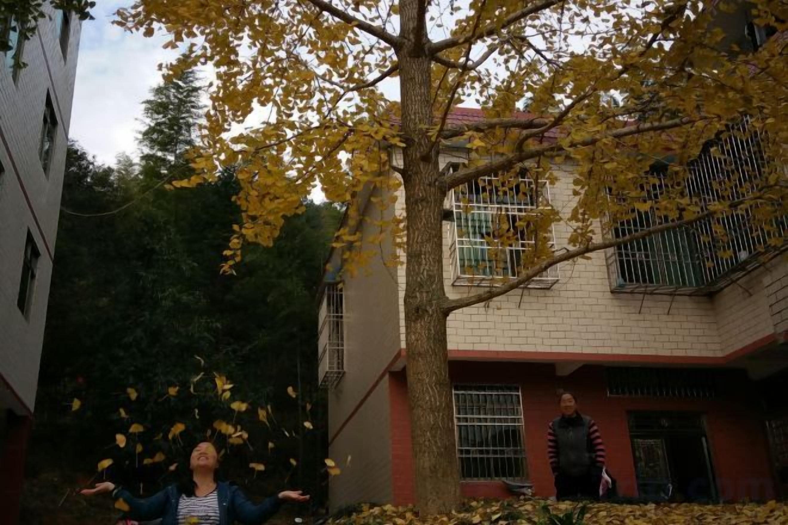 A courtyard with a tree, a building with barred windows, and a person standing.