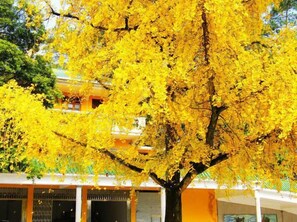 Garden - Wang Xing Hotel (Nanxiong)