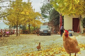 A rural setting with a chicken, a person, and a parked vehicle. - Wang Xing Hotel (Nanxiong)