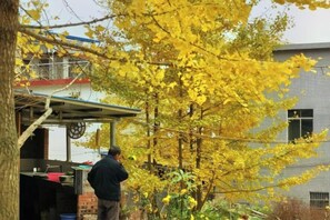 A man standing near a building with a tree in the foreground. - Wang Xing Hotel (Nanxiong)