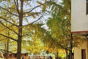 Garden - Wang Xing Hotel (Nanxiong)