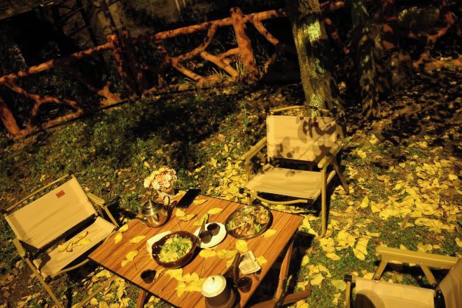 An outdoor dining setup with a table, chairs, and a suitcase, surrounded by autumn leaves.