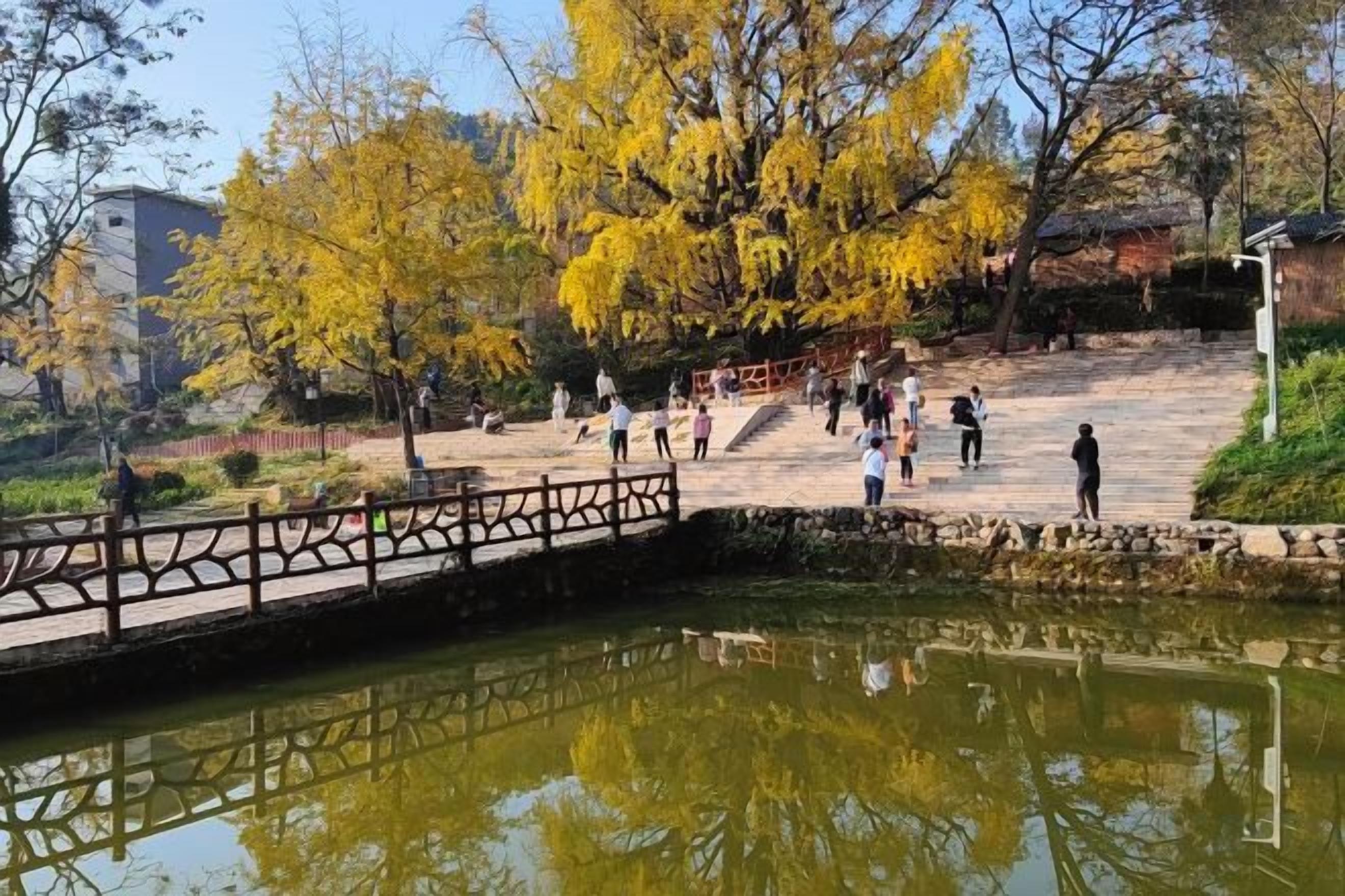 A park with a pond, a bridge, and people walking.