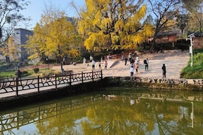 A park with a pond, a bridge, and people walking. - Wang Xing Hotel (Nanxiong)