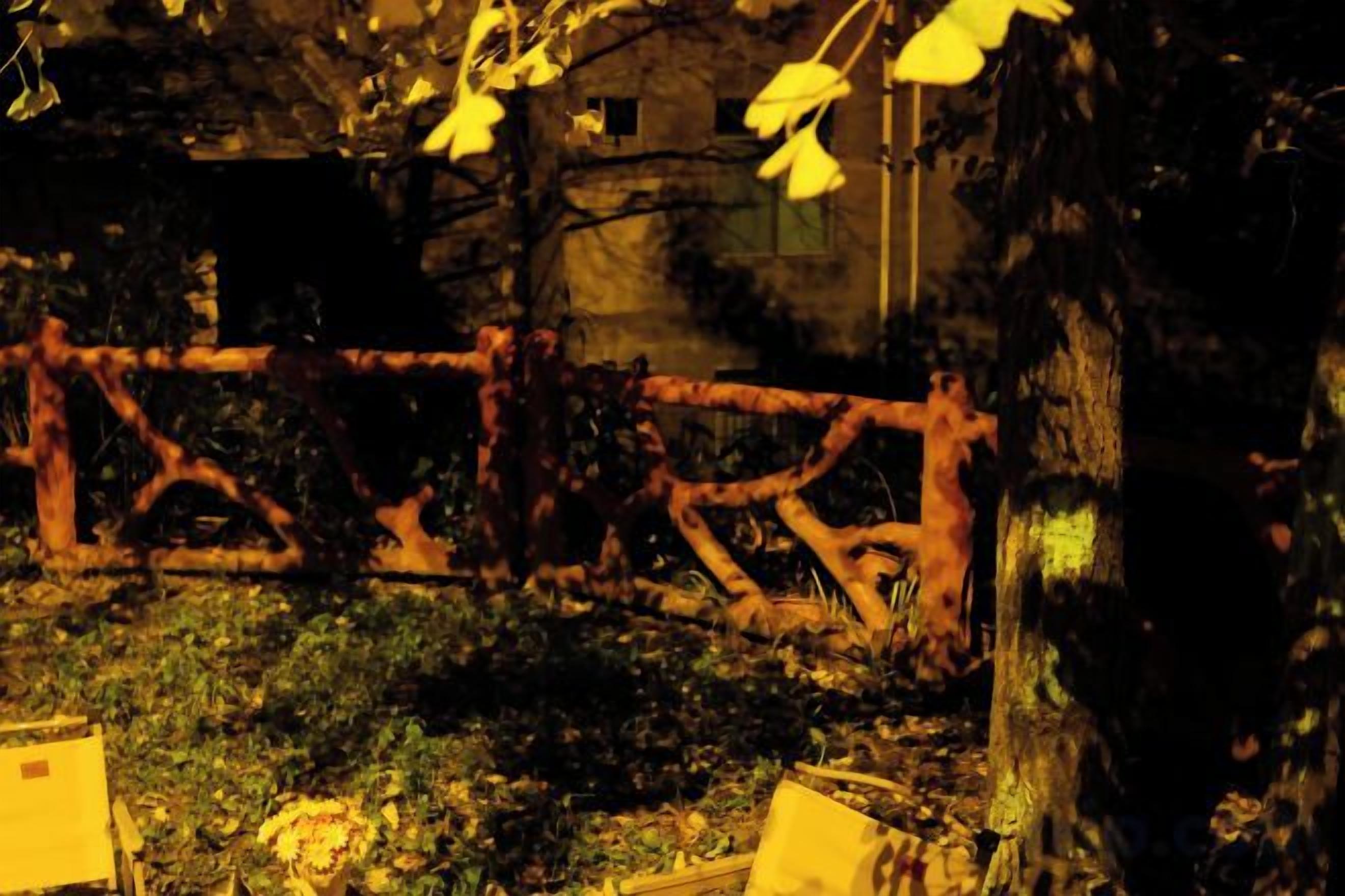 A rustic outdoor area with a metal fence, trees, and a building in the background.