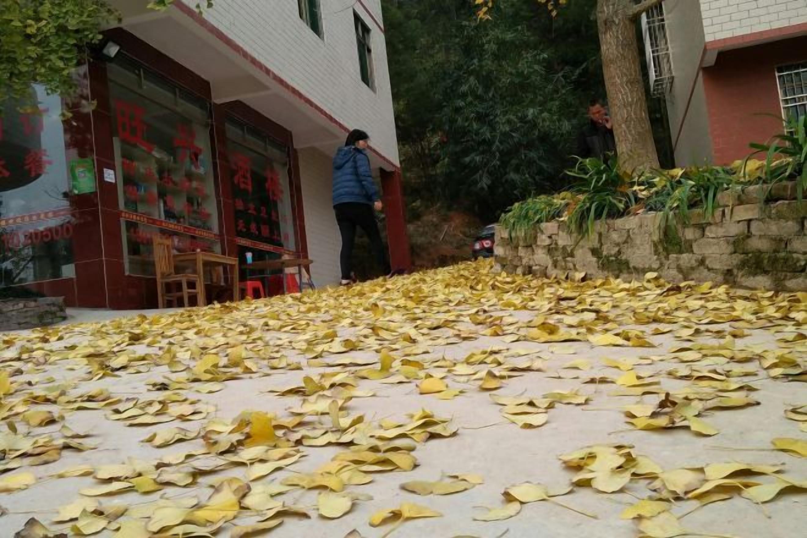 A building with a red and white facade, a paved area with scattered leaves, and a person standing near the entrance.