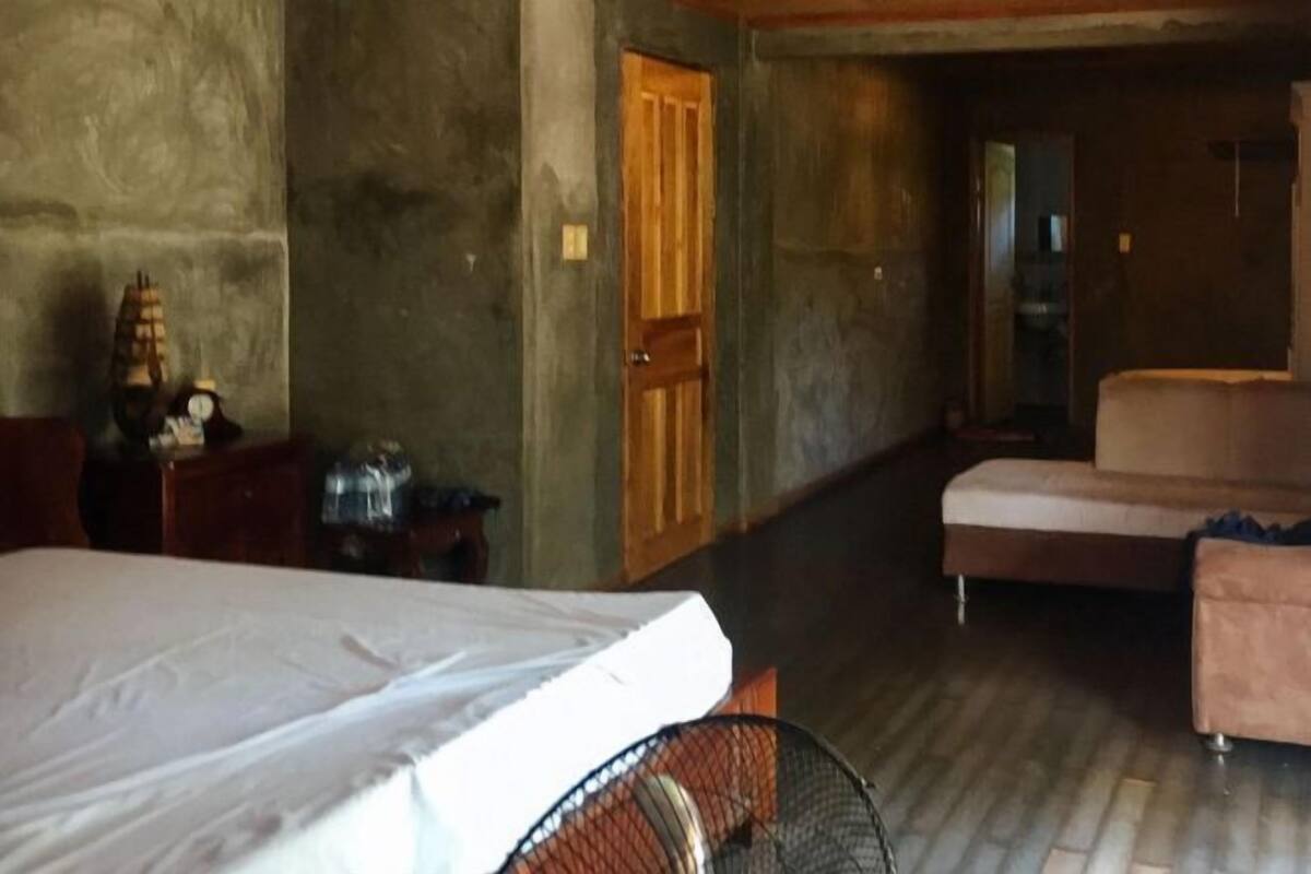 A room with a bed, a wooden door, a sofa, and a fan.