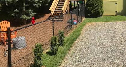 The Lemon Drop. 💛A Pup’s Dream Vacay!