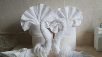 Serviettes fournies, savon, papier toilette