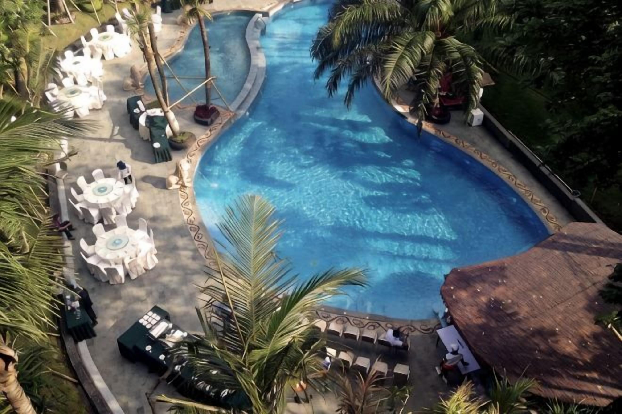 A swimming pool with lounge chairs and umbrellas, surrounded by palm trees.