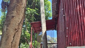 Una escalera metálica roja que conduce a un espacio cubierto, rodeado de árboles y una pared de metal corrugado.