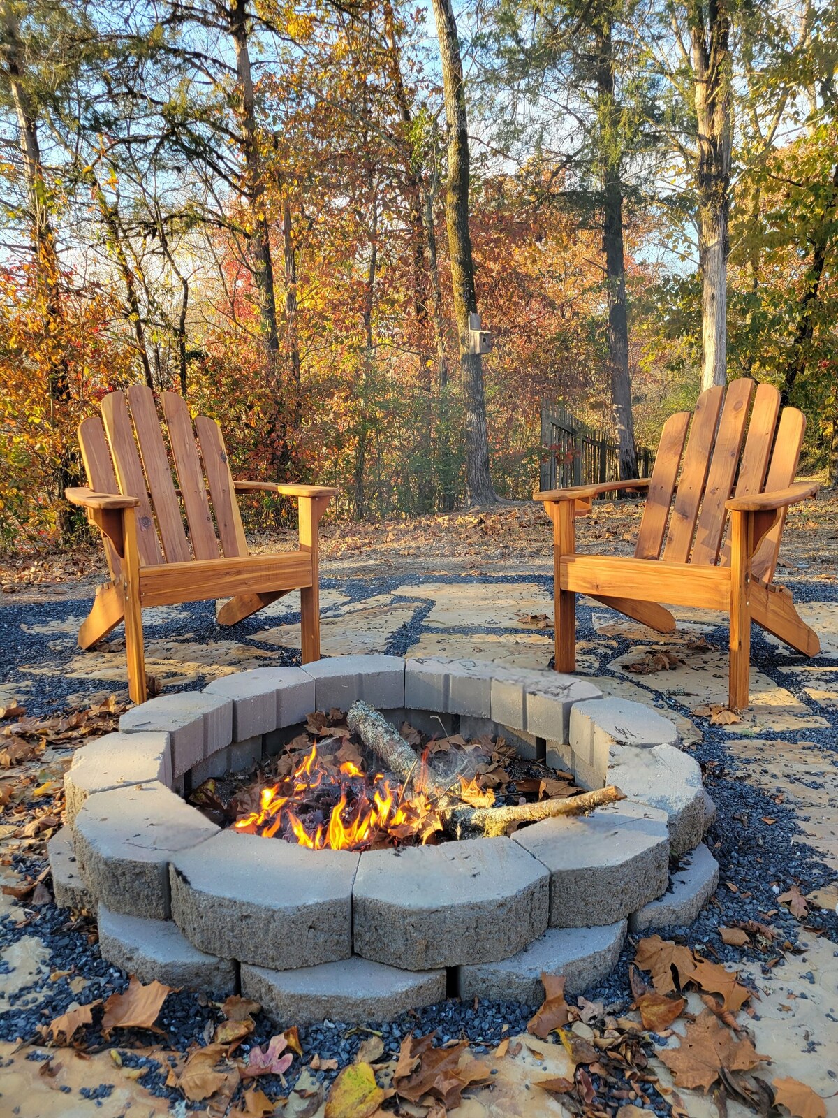 Imagen de perfil del propietario o de la propietaria