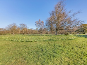 Un parc avec de vastes espaces verts, des arbres et un ciel dégagé.