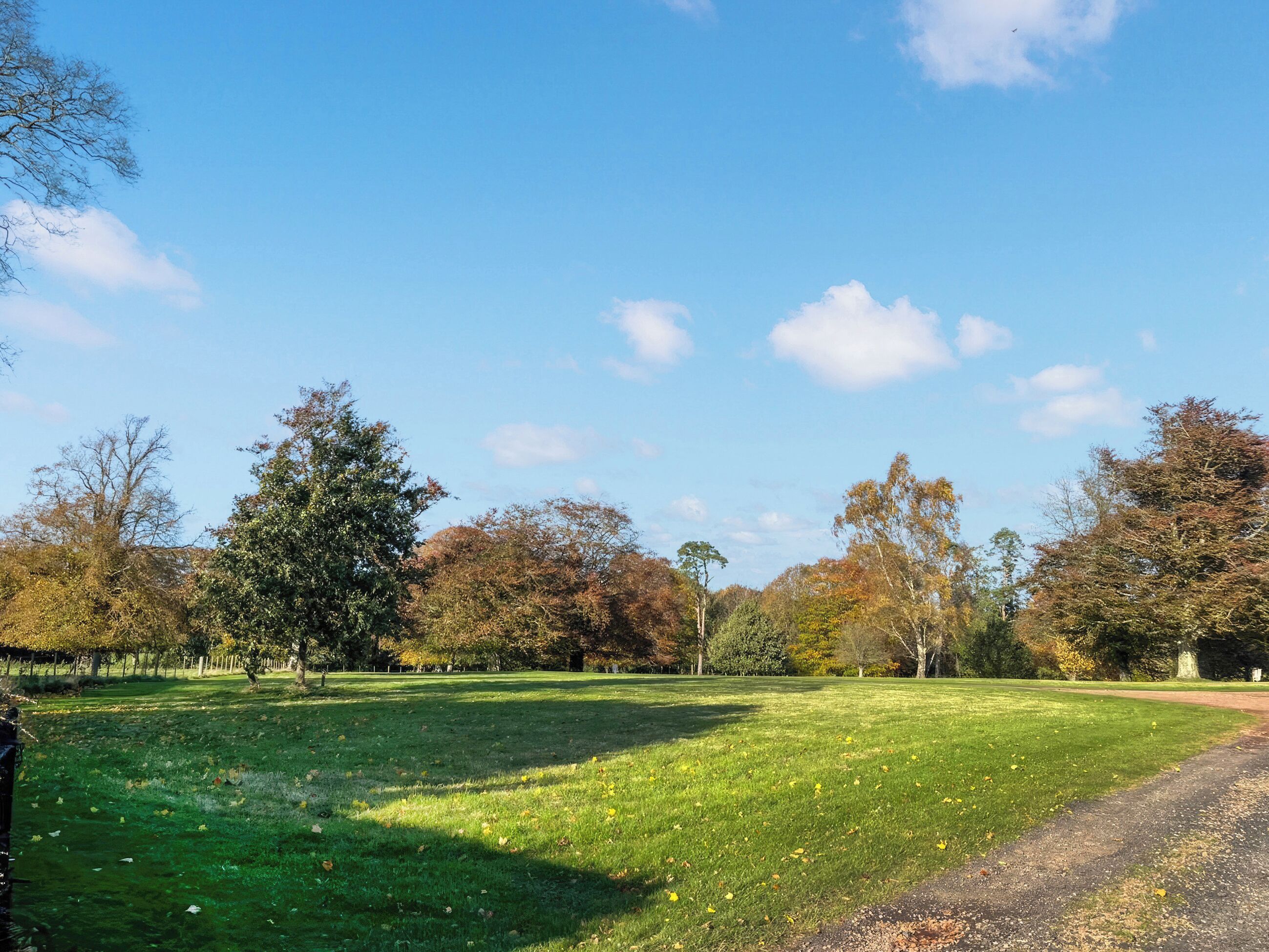 Ein Park mit einer grünen Wiese, Bäumen und blauem Himmel.