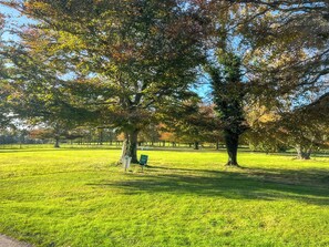 Photo non classée, 2 sur 21, bouton