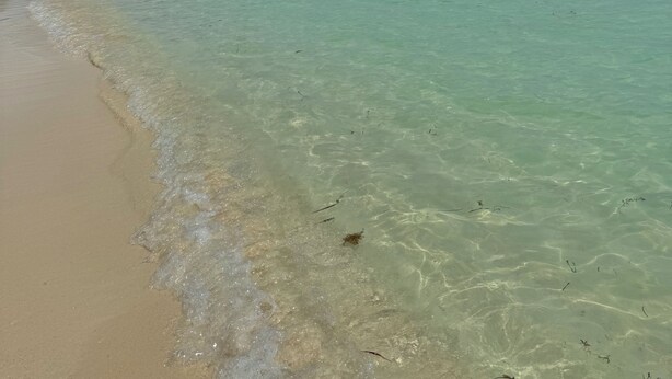 A beach with clear turquoise water, a sandy shore, and a line of trees in the background.