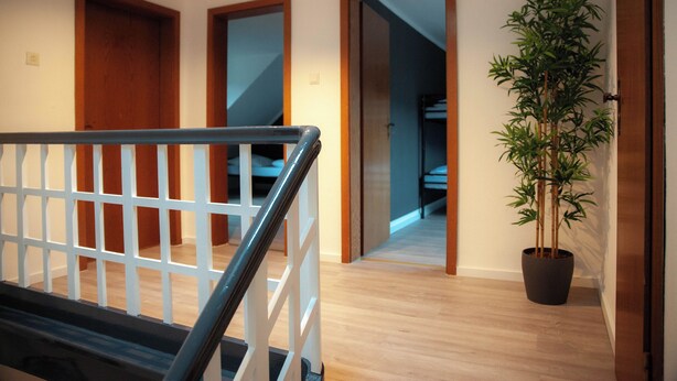 Un escalier avec une rampe blanche, des portes en bois et une plante en pot.