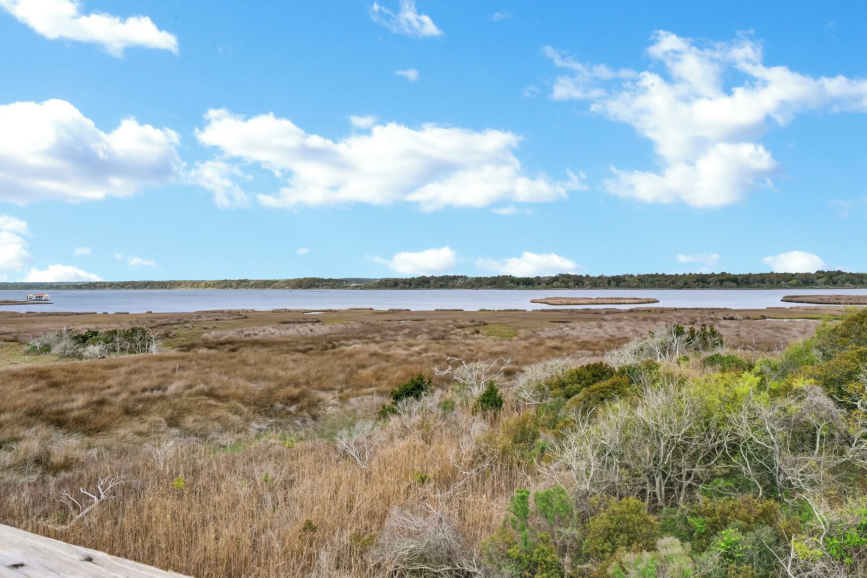 A coastal landscape with a body of water, grassy areas, and a distant shoreline.