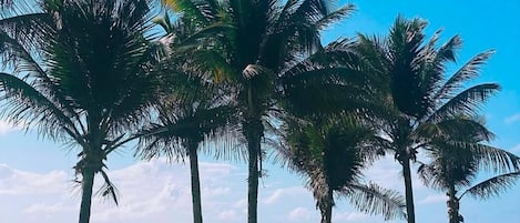 En la playa, arena blanca