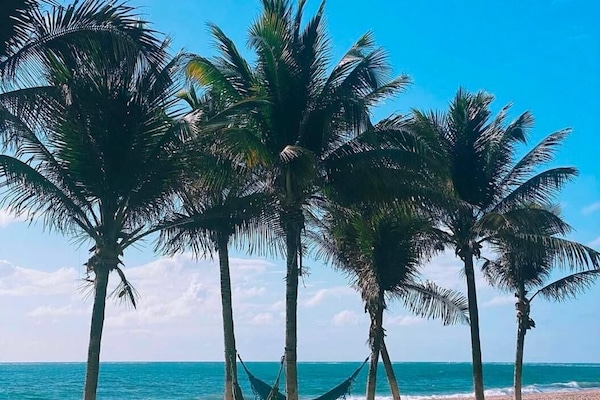 En la playa y playa de arena blanca