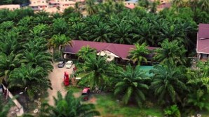 A rural area with a cluster of houses surrounded by dense palm trees. - Hemingway Cottage (Semporna)