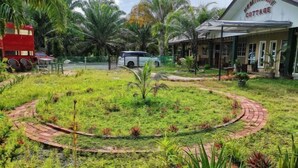 A garden area with a circular brick pathway, palm trees, and a building labeled "Hemingway Cottage". - Hemingway Cottage (Semporna)