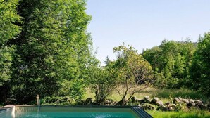 A rectangular swimming pool with clear blue water, surrounded by lush green trees and a grassy area with rocks.