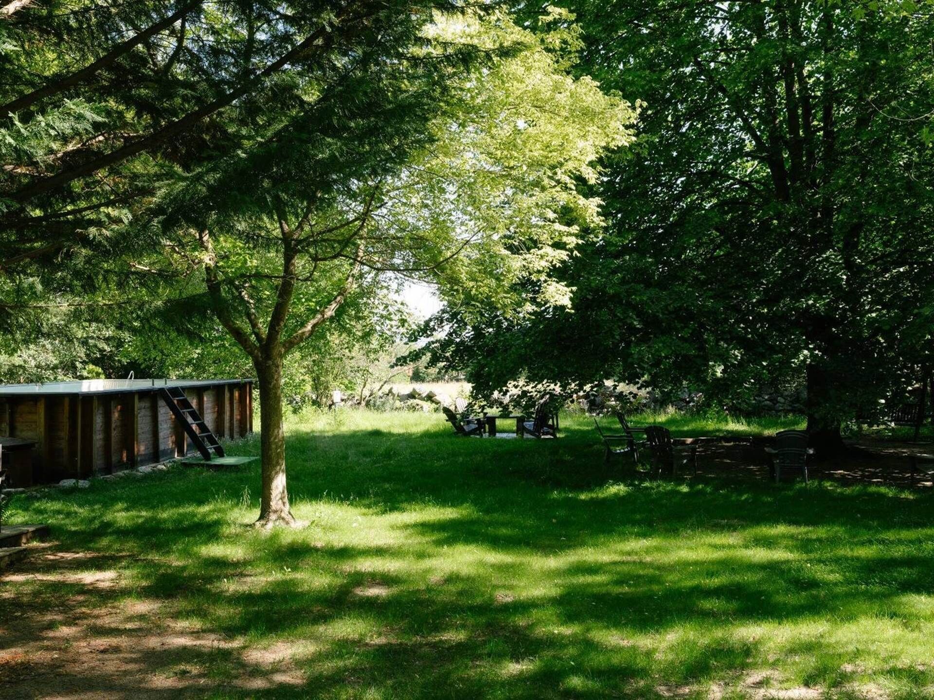Un parque tranquilo con una terraza de madera, un árbol y una zona cubierta de césped.