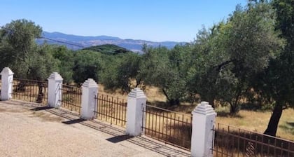 El Berezal Farm