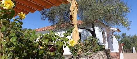 Detalle exterior