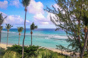 A beach with palm trees and ocean waves.