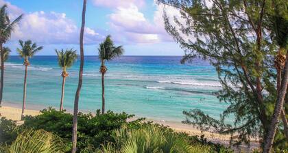 Palm Beach 401, Hastings Barbados, 2 Bdrm Condo. STUNNING Ocean & Garden Views!