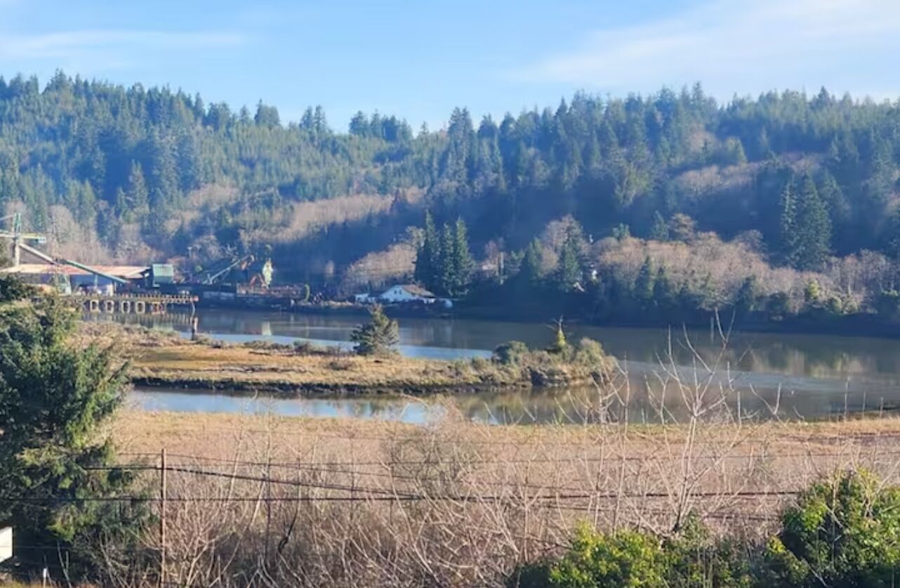 A river with a bridge and a forested hillside in the background.
