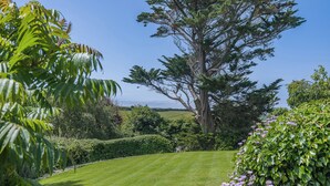 Une pelouse bien entretenue, un grand arbre et une végétation dense.