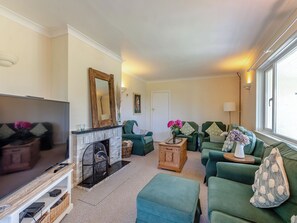 TV, fireplace - 6 bedroom accommodation in Kingsbridge (Kingsbridge)