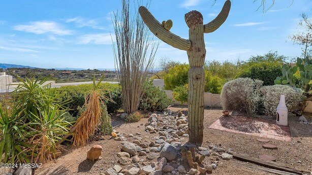 Un jardín desértico con diversos cactus y suculentas, suelo pedregoso y cielo despejado.