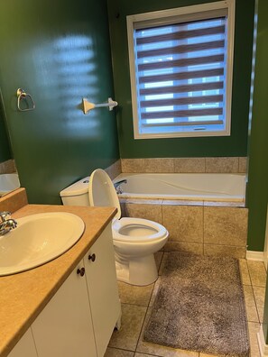 Hair dryer, bidet, towels, soap