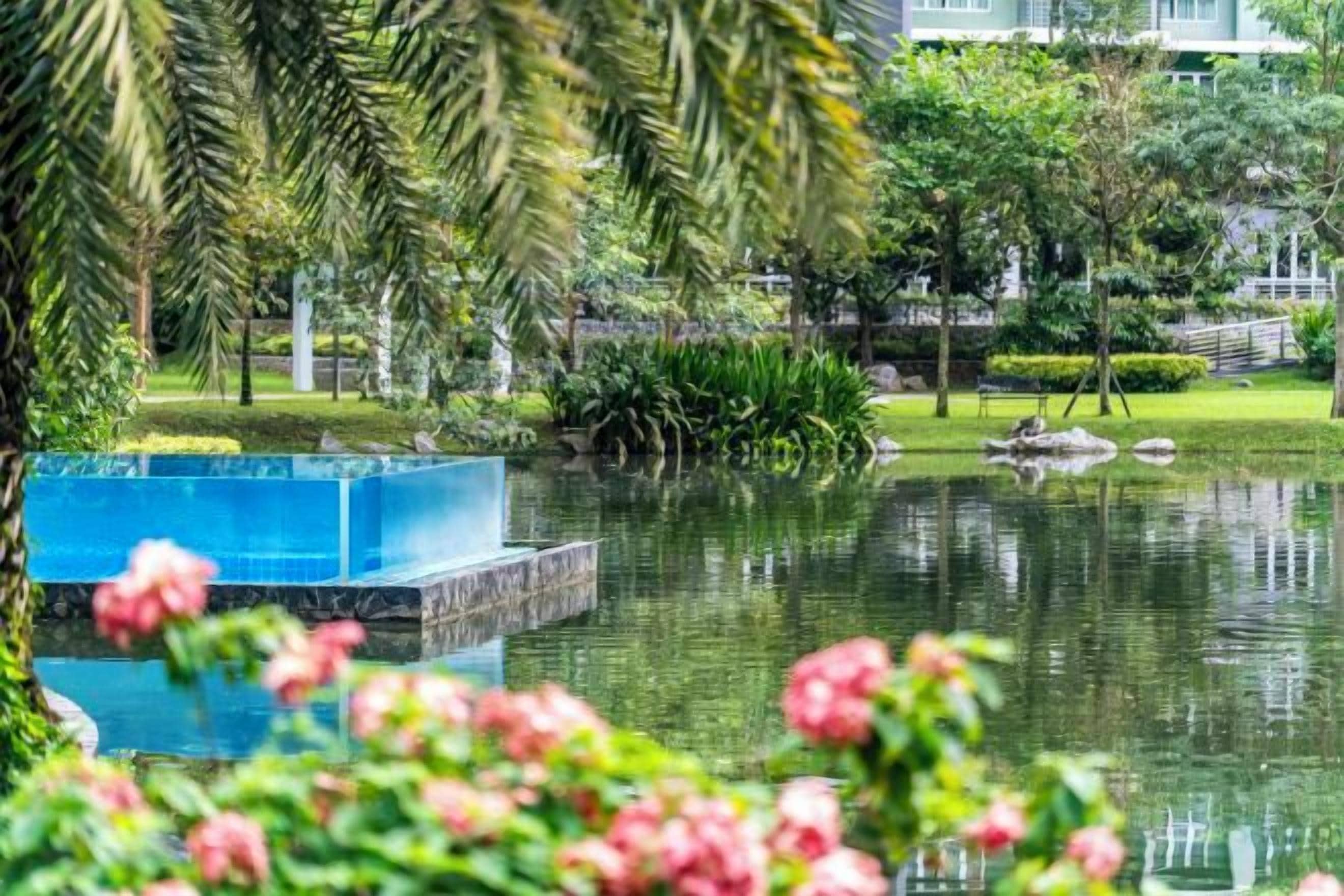 A tranquil outdoor pool area with a clear water surface, surrounded by lush greenery and palm trees.